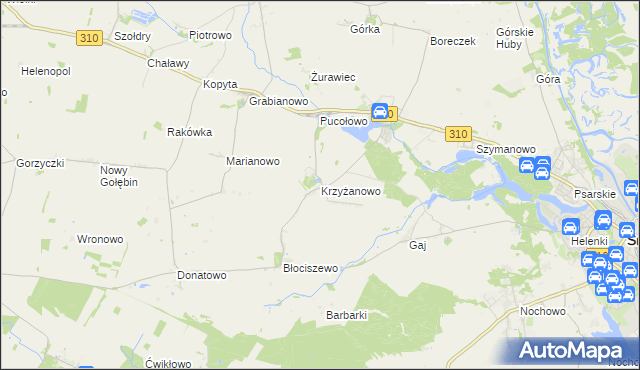 mapa Krzyżanowo gmina Śrem, Krzyżanowo gmina Śrem na mapie Targeo