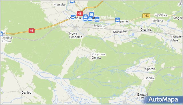 mapa Krzyżowa Dolina, Krzyżowa Dolina na mapie Targeo