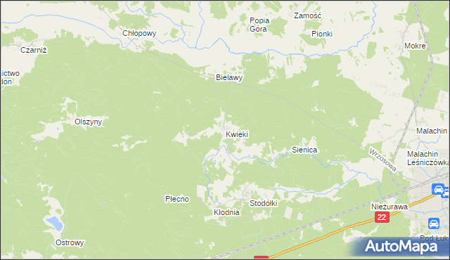 mapa Kwieki, Kwieki na mapie Targeo