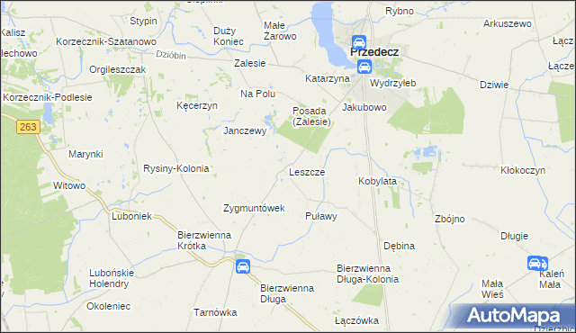 mapa Leszcze gmina Kłodawa, Leszcze gmina Kłodawa na mapie Targeo