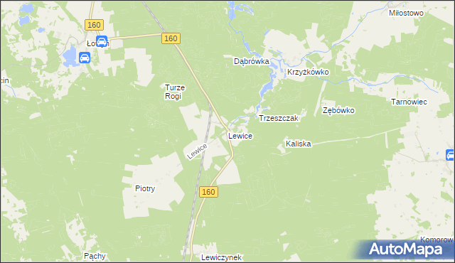 mapa Lewice gmina Międzychód, Lewice gmina Międzychód na mapie Targeo