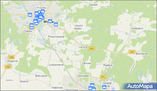 mapa Lipnica gmina Wołów, Lipnica gmina Wołów na mapie Targeo