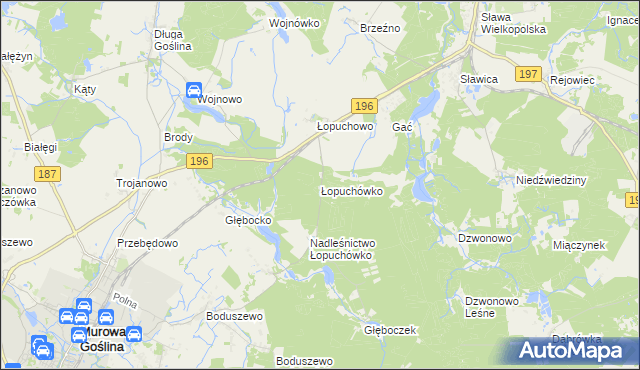 mapa Łopuchówko, Łopuchówko na mapie Targeo