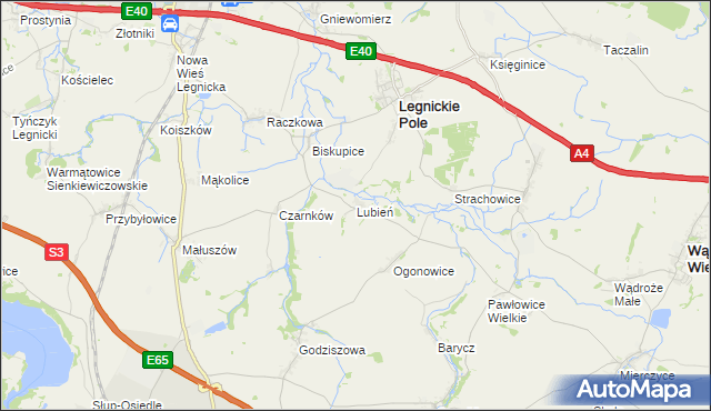 mapa Lubień gmina Legnickie Pole, Lubień gmina Legnickie Pole na mapie Targeo