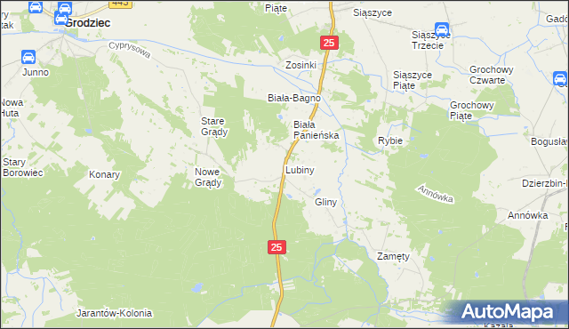 mapa Lubiny gmina Rychwał, Lubiny gmina Rychwał na mapie Targeo