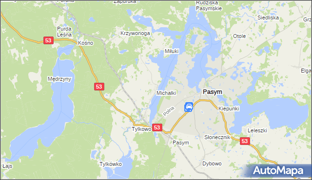 mapa Michałki gmina Pasym, Michałki gmina Pasym na mapie Targeo