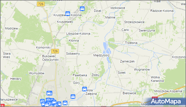 mapa Międzybórz gmina Opoczno, Międzybórz gmina Opoczno na mapie Targeo