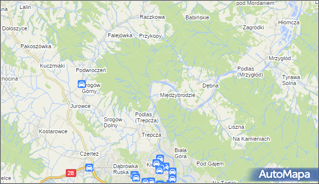 mapa Międzybrodzie, Międzybrodzie na mapie Targeo