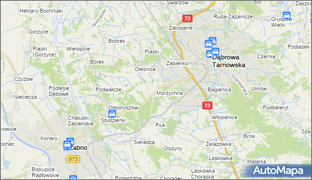 mapa Morzychna, Morzychna na mapie Targeo