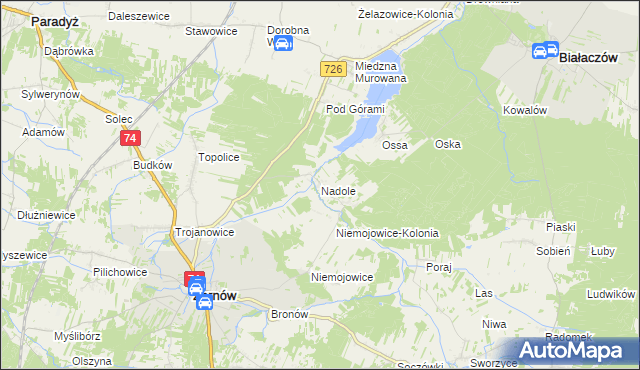 mapa Nadole gmina Żarnów, Nadole gmina Żarnów na mapie Targeo