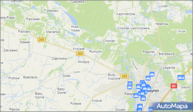 mapa Nagodów gmina Gostynin, Nagodów gmina Gostynin na mapie Targeo