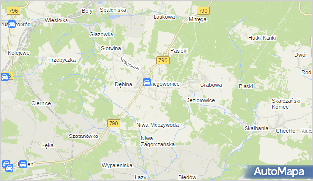 mapa Niegowoniczki, Niegowoniczki na mapie Targeo