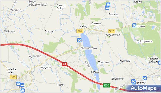 mapa Niepruszewo, Niepruszewo na mapie Targeo