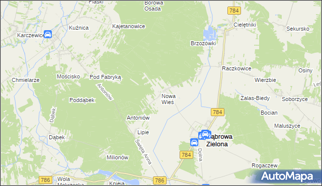 mapa Nowa Wieś gmina Dąbrowa Zielona, Nowa Wieś gmina Dąbrowa Zielona na mapie Targeo