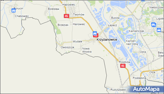 mapa Nowa Wioska gmina Krzyżanowice, Nowa Wioska gmina Krzyżanowice na mapie Targeo