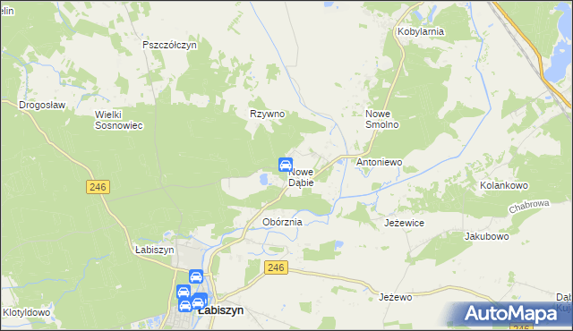 mapa Nowe Dąbie, Nowe Dąbie na mapie Targeo