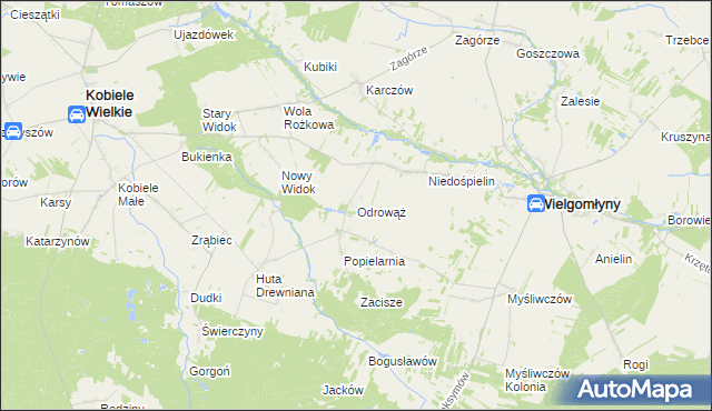 mapa Odrowąż gmina Wielgomłyny, Odrowąż gmina Wielgomłyny na mapie Targeo