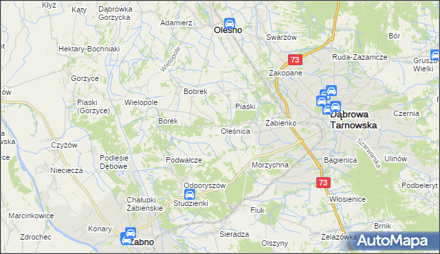 mapa Oleśnica gmina Olesno, Oleśnica gmina Olesno na mapie Targeo