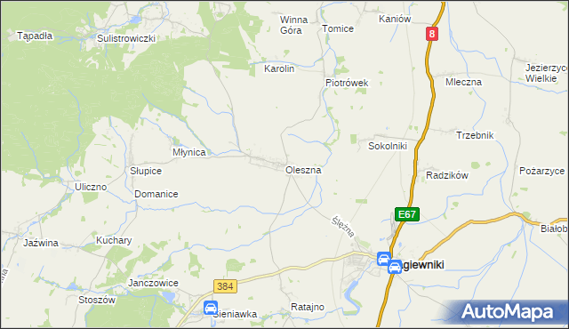 mapa Oleszna, Oleszna na mapie Targeo
