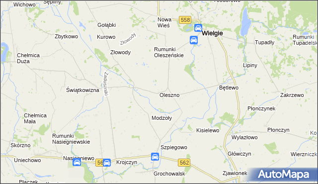 mapa Oleszno gmina Wielgie, Oleszno gmina Wielgie na mapie Targeo