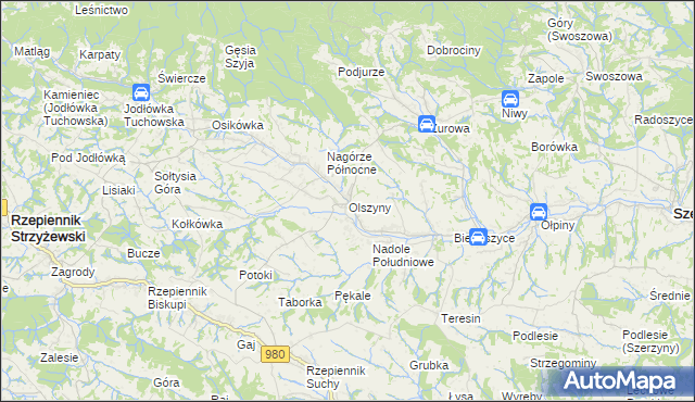 mapa Olszyny gmina Rzepiennik Strzyżewski, Olszyny gmina Rzepiennik Strzyżewski na mapie Targeo