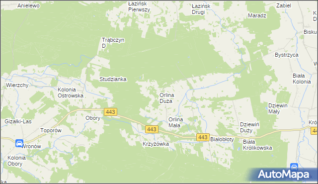 mapa Orlina Duża, Orlina Duża na mapie Targeo