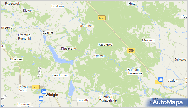 mapa Orłowo gmina Wielgie, Orłowo gmina Wielgie na mapie Targeo