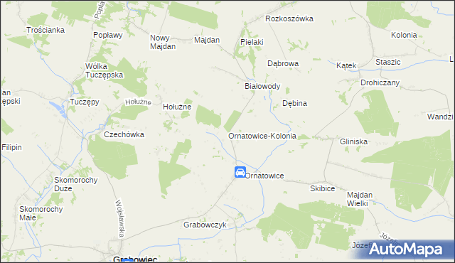 mapa Ornatowice-Kolonia, Ornatowice-Kolonia na mapie Targeo