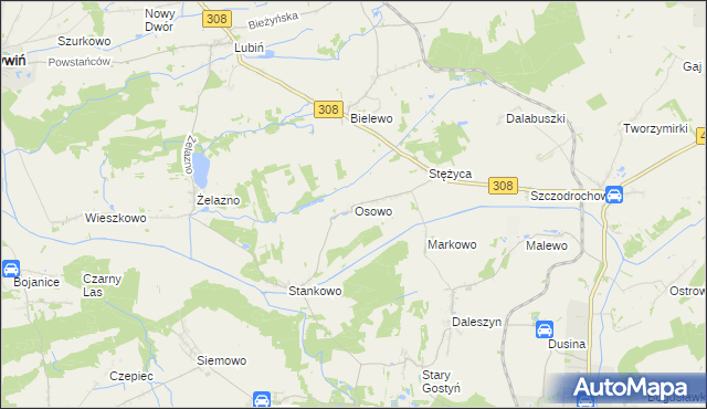 mapa Osowo gmina Gostyń, Osowo gmina Gostyń na mapie Targeo