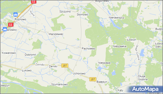 mapa Pacholewo, Pacholewo na mapie Targeo