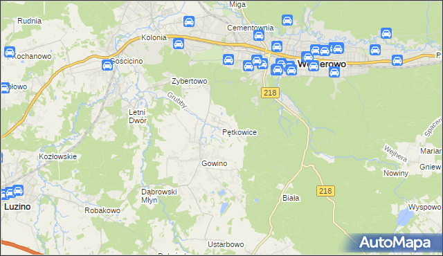 mapa Pętkowice gmina Wejherowo, Pętkowice gmina Wejherowo na mapie Targeo