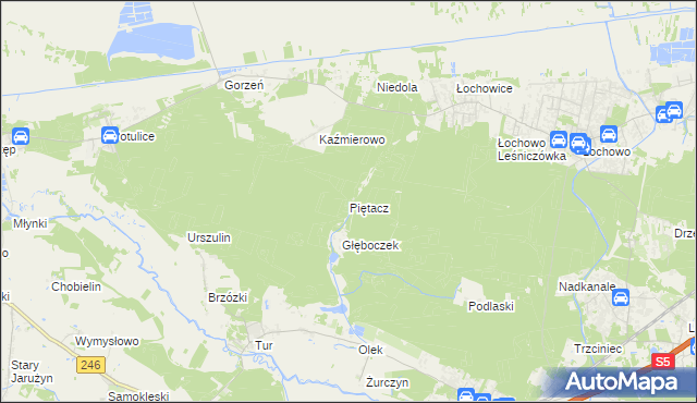 mapa Piętacz, Piętacz na mapie Targeo