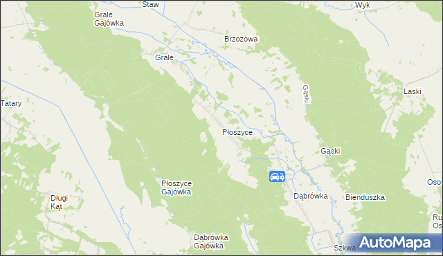 mapa Płoszyce, Płoszyce na mapie Targeo