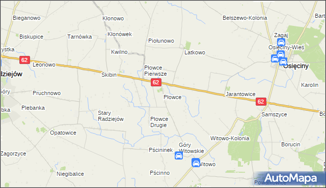 mapa Płowce gmina Radziejów, Płowce gmina Radziejów na mapie Targeo