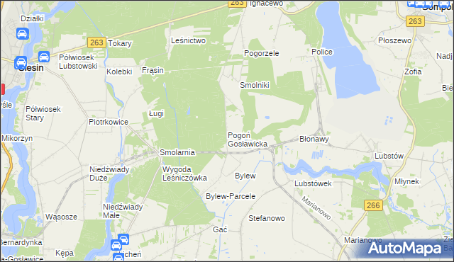 mapa Pogoń Gosławicka, Pogoń Gosławicka na mapie Targeo