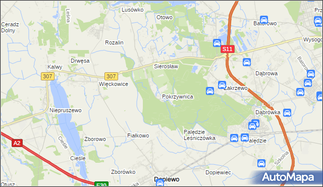 mapa Pokrzywnica gmina Dopiewo, Pokrzywnica gmina Dopiewo na mapie Targeo