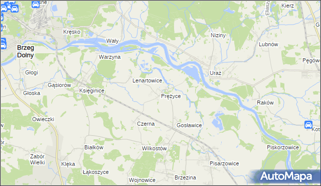 mapa Prężyce, Prężyce na mapie Targeo