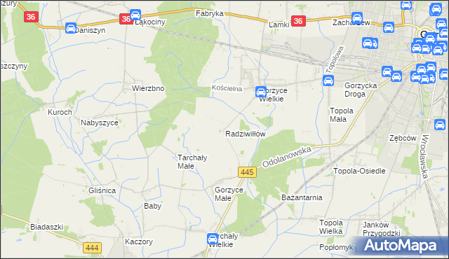 mapa Radziwiłłów gmina Ostrów Wielkopolski, Radziwiłłów gmina Ostrów Wielkopolski na mapie Targeo