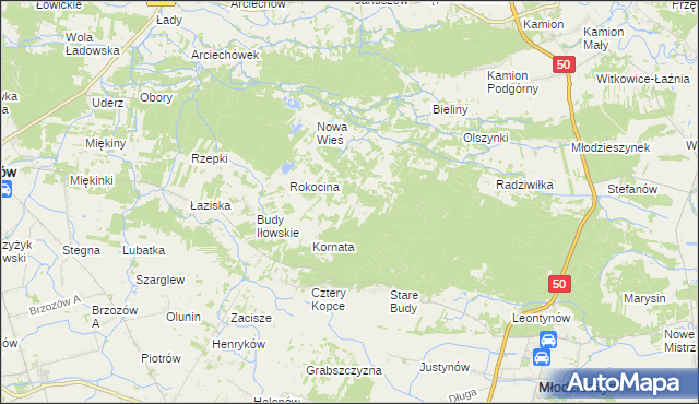 mapa Rokicina, Rokicina na mapie Targeo