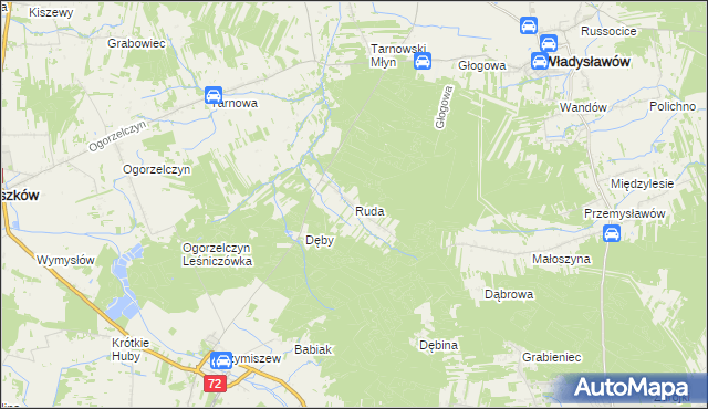 mapa Ruda gmina Tuliszków, Ruda gmina Tuliszków na mapie Targeo