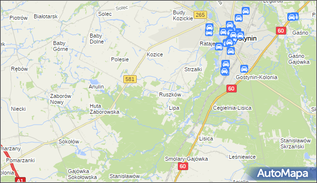 mapa Ruszków gmina Gostynin, Ruszków gmina Gostynin na mapie Targeo