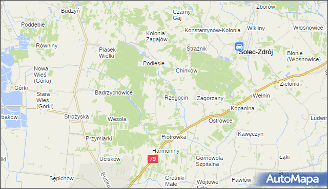 mapa Rzegocin gmina Nowy Korczyn, Rzegocin gmina Nowy Korczyn na mapie Targeo