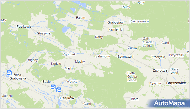 mapa Salamony gmina Czajków, Salamony gmina Czajków na mapie Targeo
