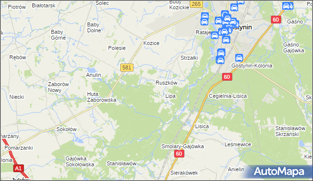 mapa Sałki gmina Gostynin, Sałki gmina Gostynin na mapie Targeo