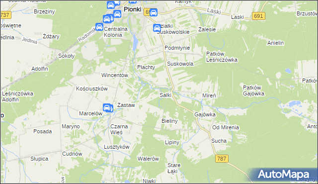 mapa Sałki gmina Pionki, Sałki gmina Pionki na mapie Targeo