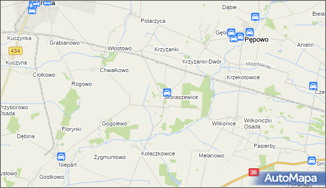 mapa Skoraszewice, Skoraszewice na mapie Targeo
