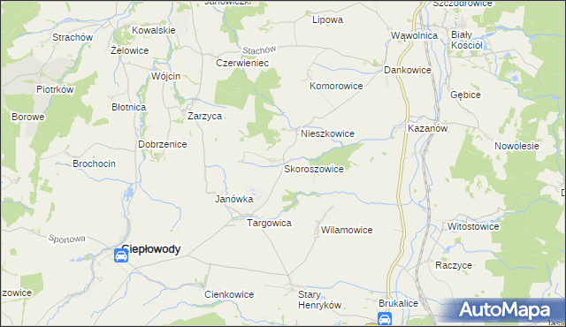 mapa Skoroszowice, Skoroszowice na mapie Targeo