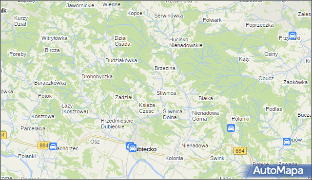 mapa Śliwnica gmina Dubiecko, Śliwnica gmina Dubiecko na mapie Targeo