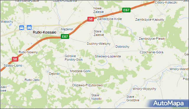 mapa Śliwowo-Łopienite, Śliwowo-Łopienite na mapie Targeo