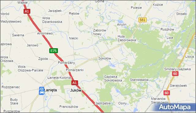 mapa Sokołów gmina Gostynin, Sokołów gmina Gostynin na mapie Targeo